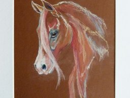 Junger Araber  Pastellbild